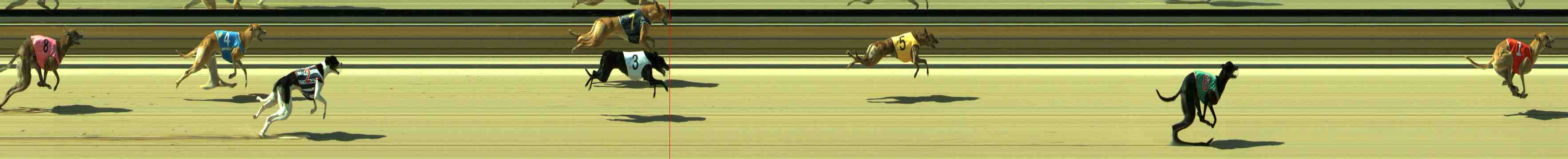 Photo finish for Sale Race 7
