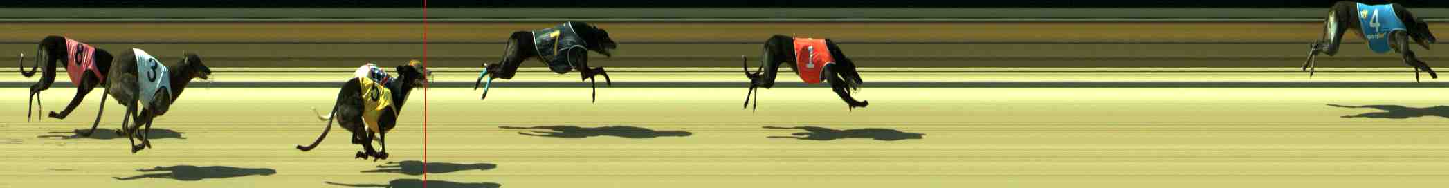 Photo finish for Sale Race 8