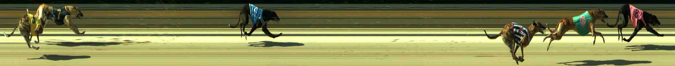 Photo finish for Sale Race 9