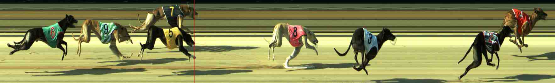 Photo finish for Sale Race 11
