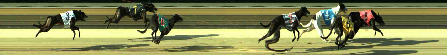 Photo finish for Sale Race 12