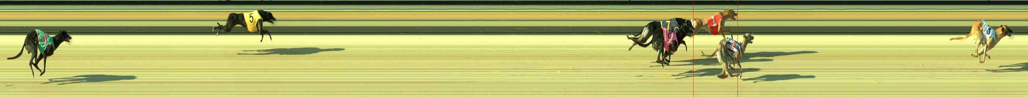 Photo finish for Sale Race 1