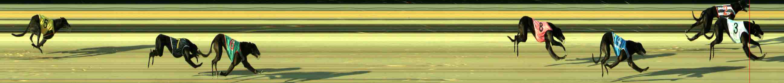 Photo finish for Sale Race 2