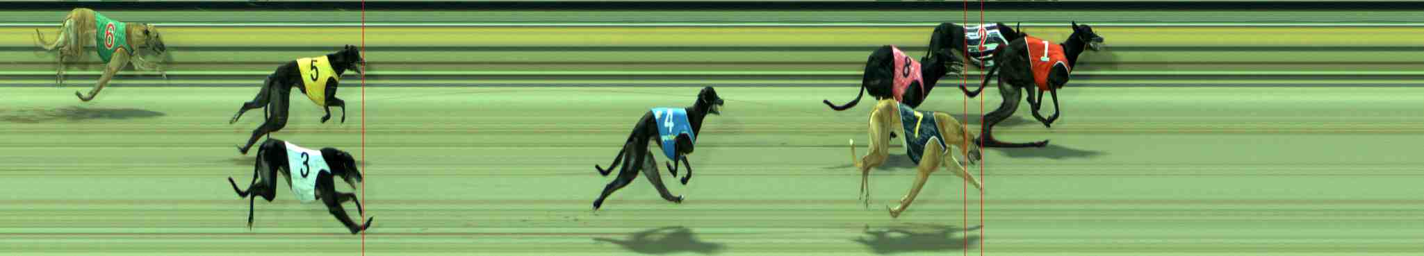 Photo finish for Sale Race 5