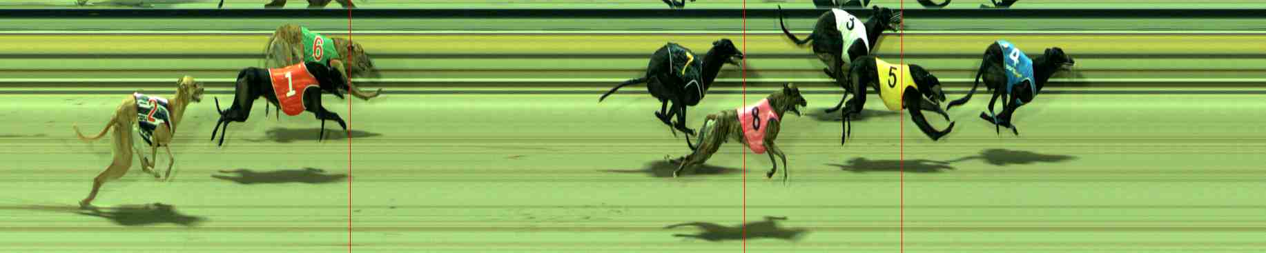 Photo finish for Sale Race 6