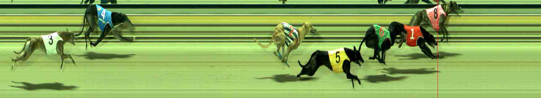 Photo finish for Sale Race 7