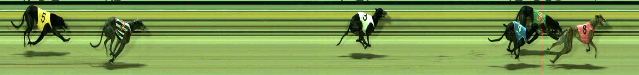 Photo finish for Sale Race 8