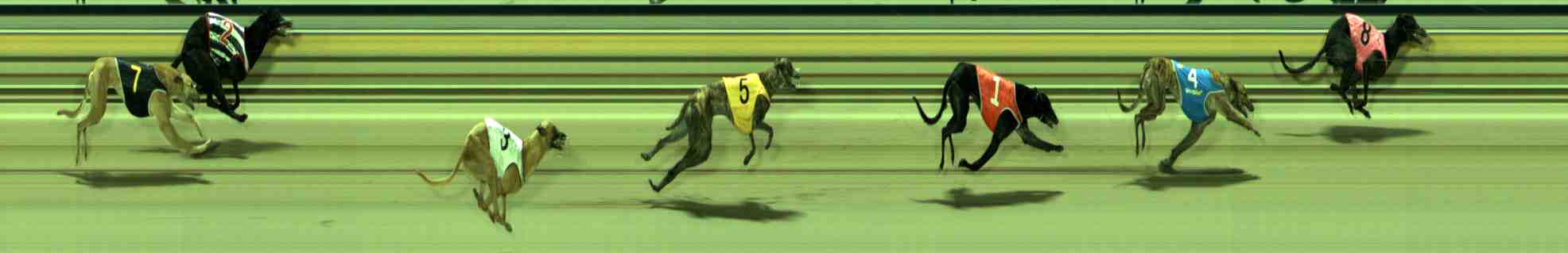 Photo finish for Sale Race 9