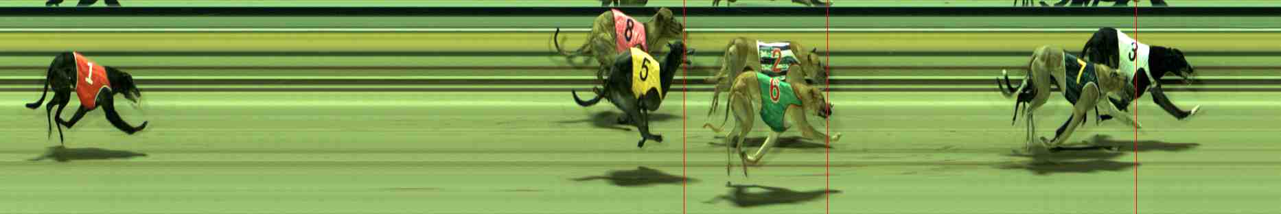Photo finish for Sale Race 10