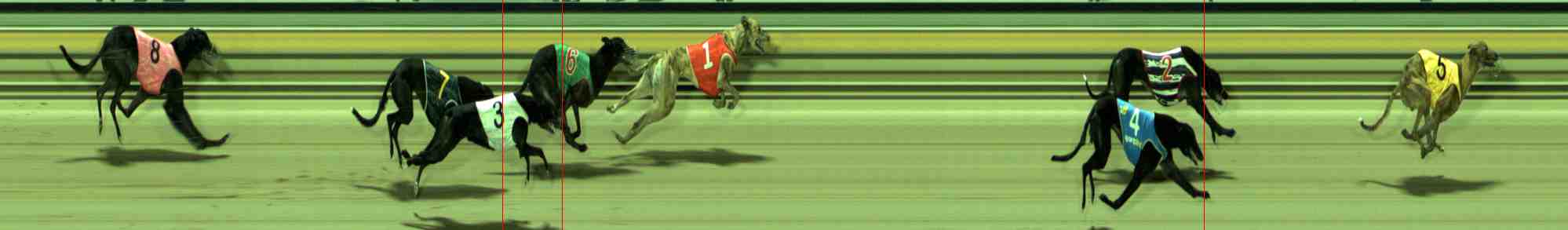Photo finish for Sale Race 11