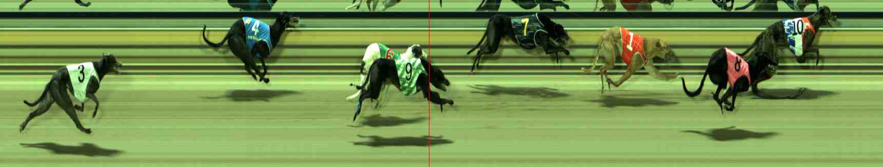 Photo finish for Sale Race 12