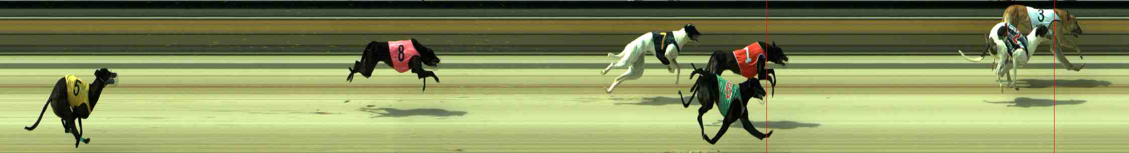 Race result finish photo