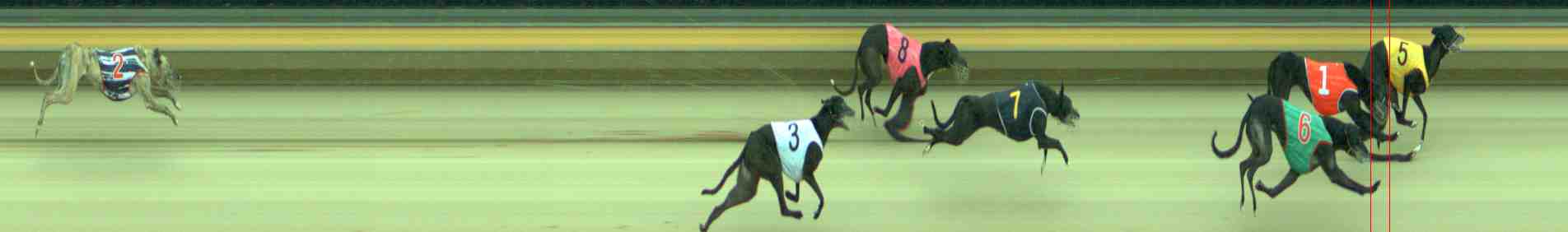 Race result finish photo