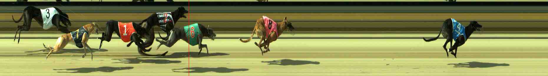 Race result finish photo