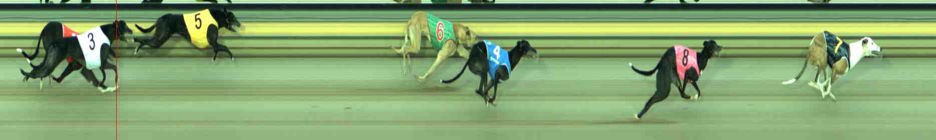 Race result finish photo