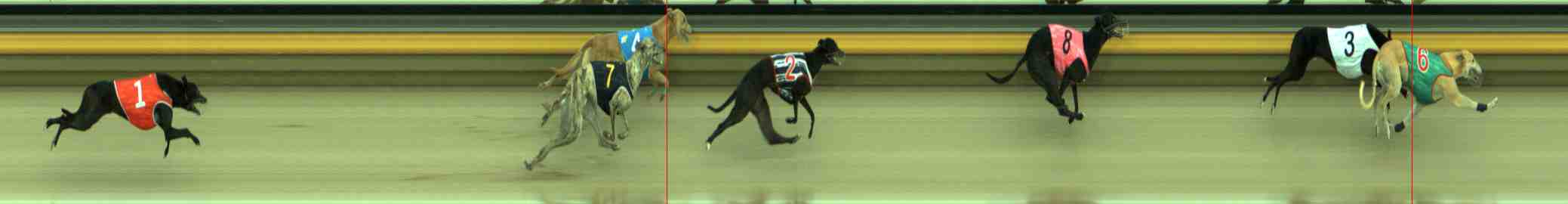 Race result finish photo