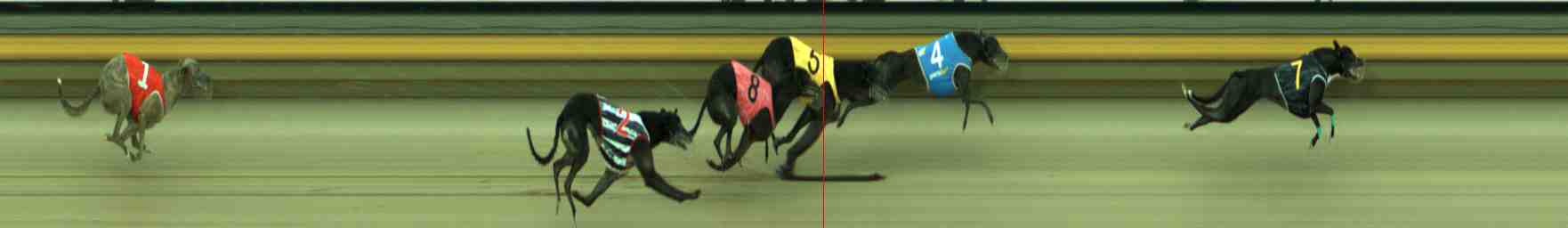 Race result finish photo