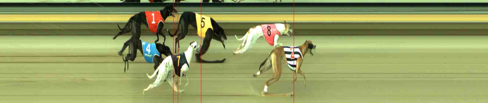 Race result finish photo