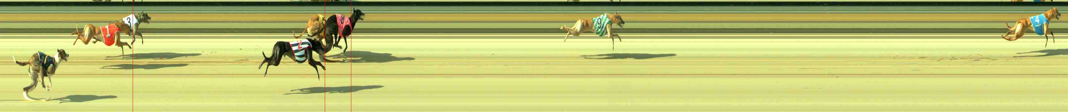 Race result finish photo