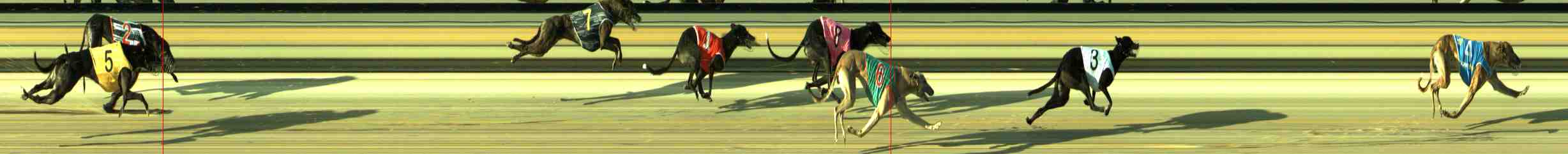 Photo finish for Sale Race 3
