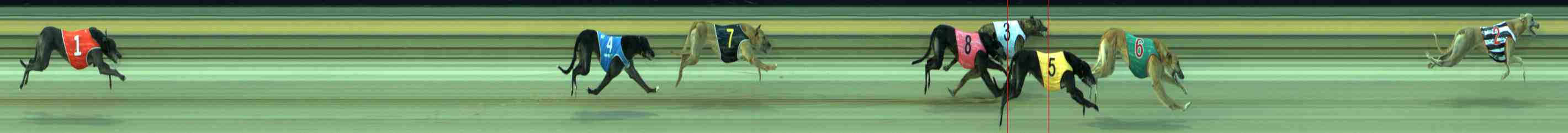 Photo finish for Sale Race 4