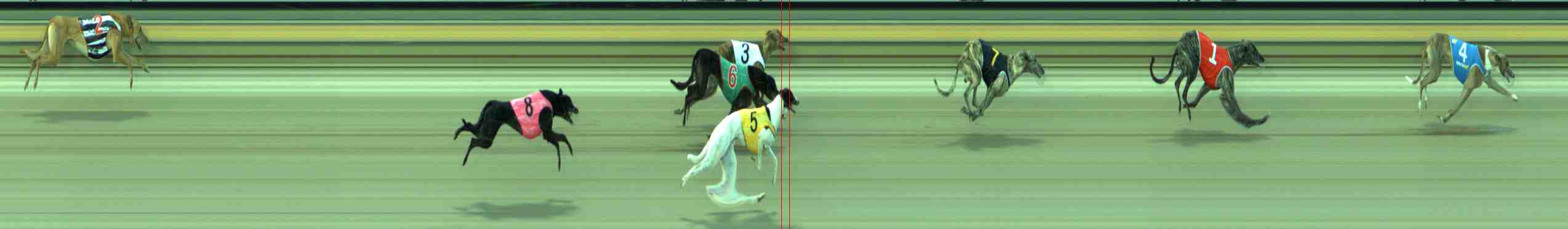 Race result finish photo