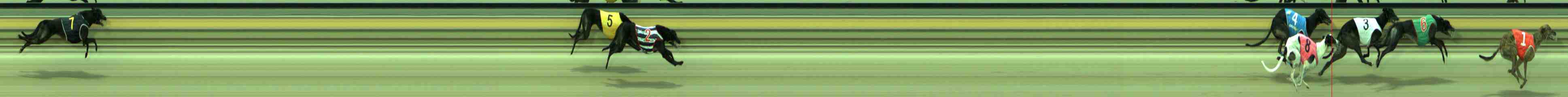 Photo finish for Sale Race 6