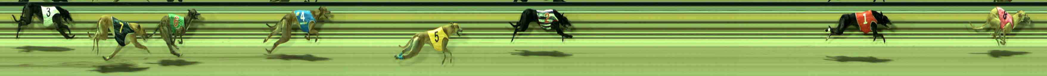 Photo finish for Sale Race 8