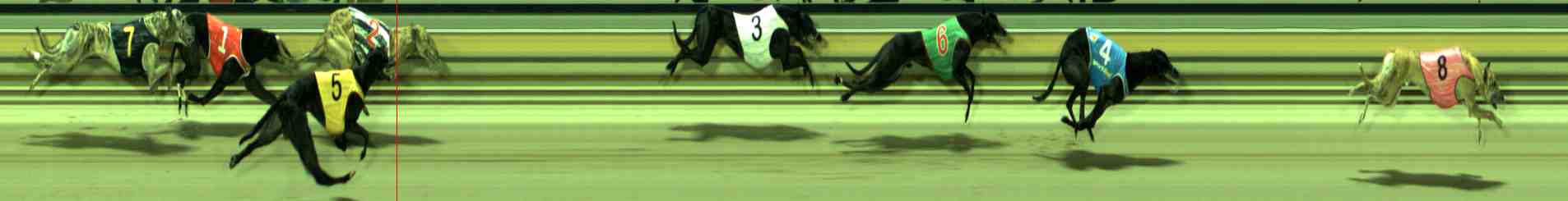 Photo finish for Sale Race 9