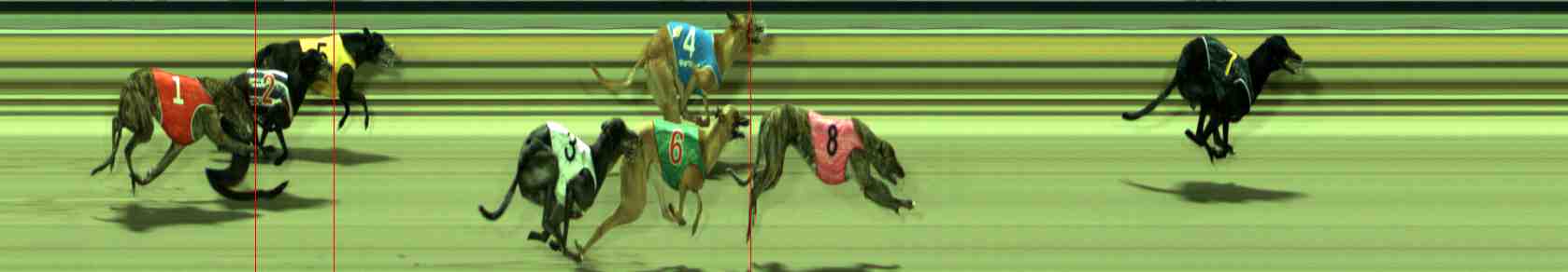 Photo finish for Sale Race 10