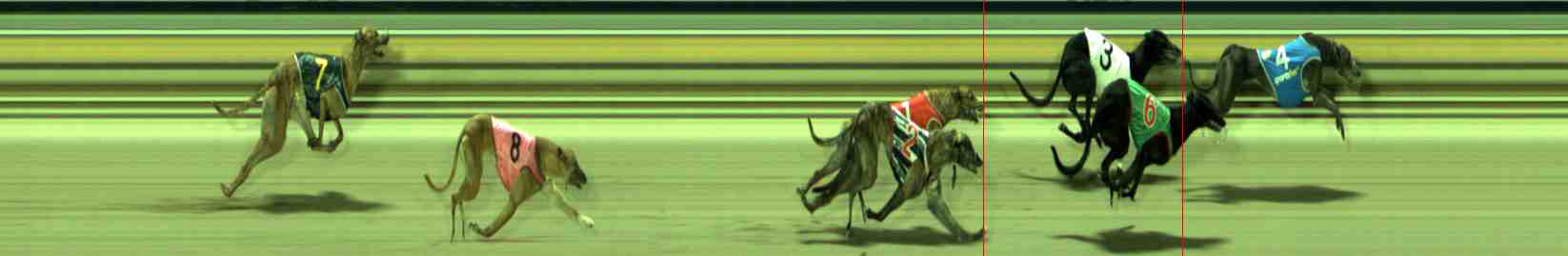 Photo finish for Sale Race 11