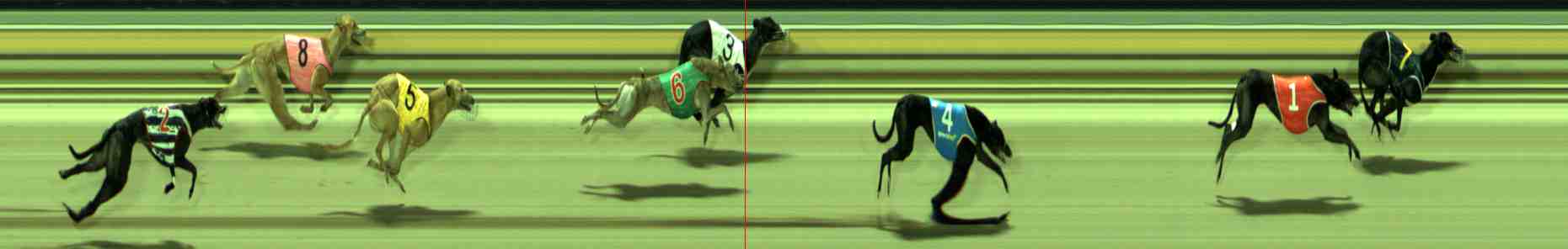 Photo finish for Sale Race 12