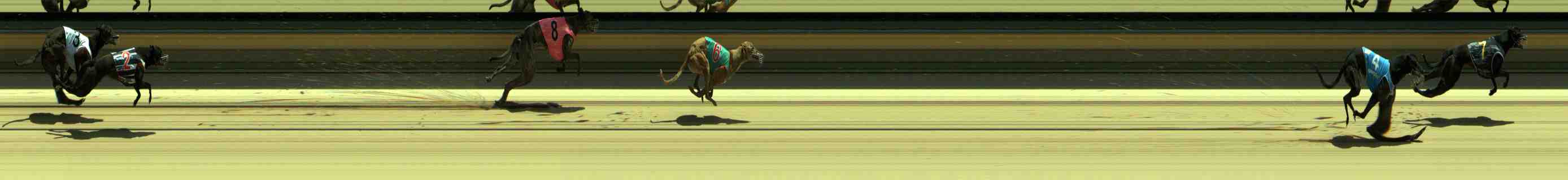 Photo finish for Sale Race 2