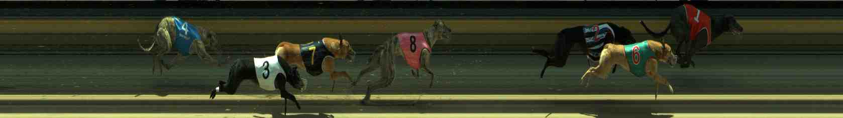 Photo finish for Sale Race 5