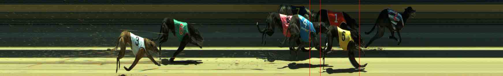 Photo finish for Sale Race 6