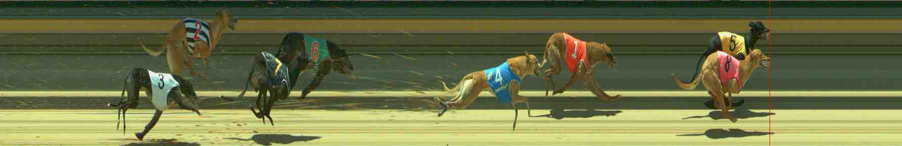 Photo finish for Sale Race 8