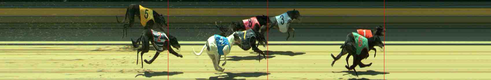 Race result finish photo