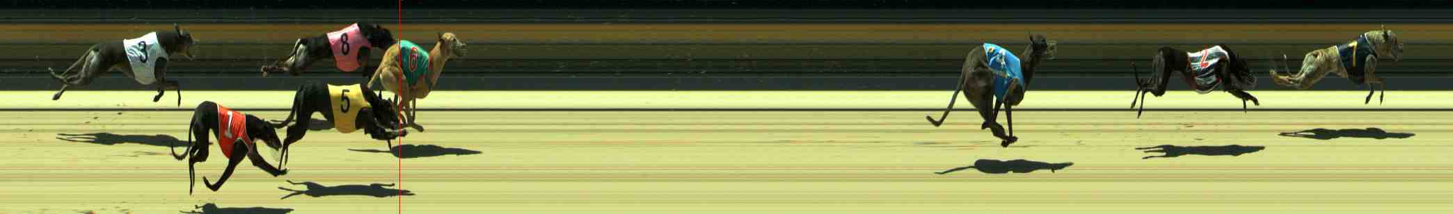 Photo finish for Sale Race 10