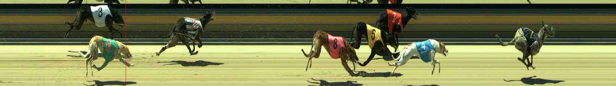 Photo finish for Sale Race 11