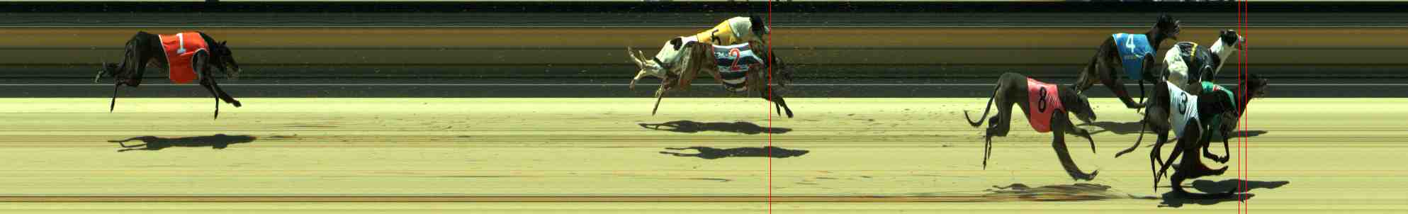 Photo finish for Sale Race 12