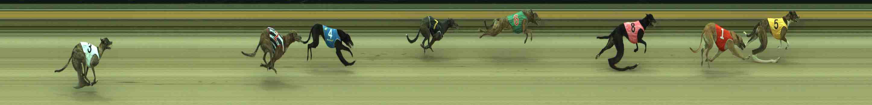 Photo finish for Sale Race 2