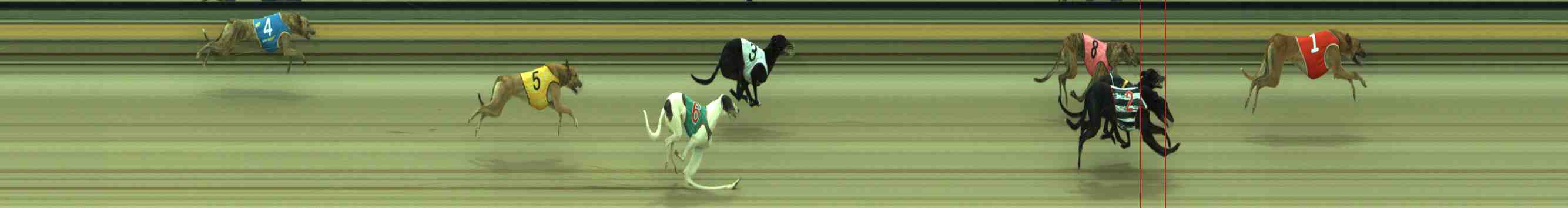 Photo finish for Sale Race 3