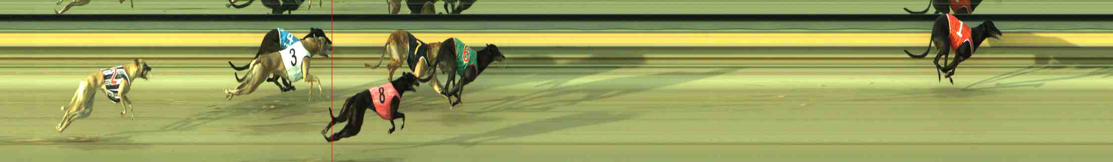 Photo finish for Sale Race 5