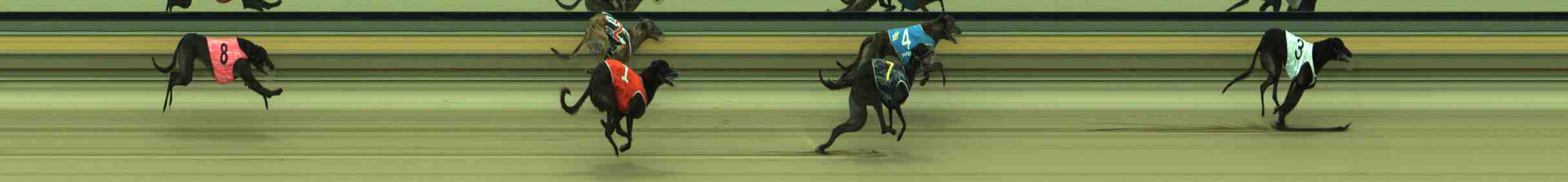 Photo finish for Sale Race 6
