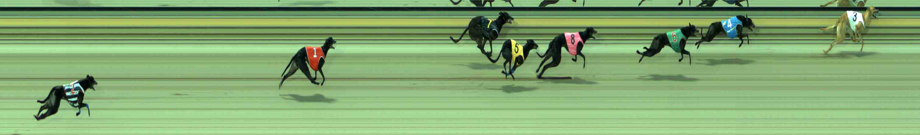 Photo finish for Sale Race 7