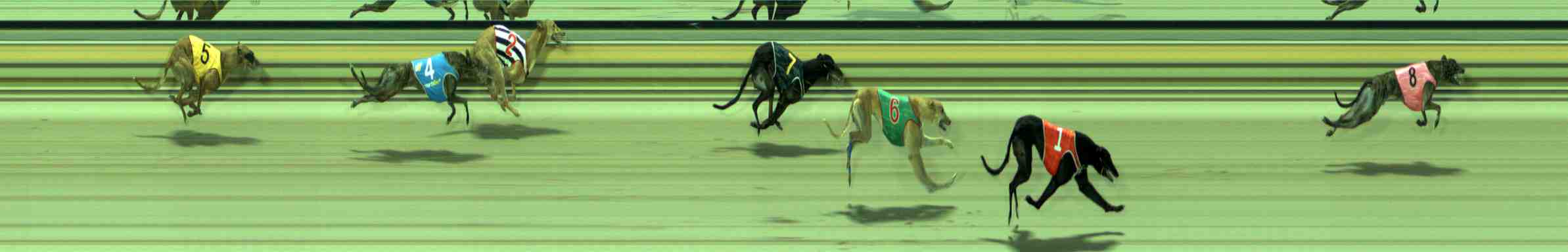 Photo finish for Sale Race 8