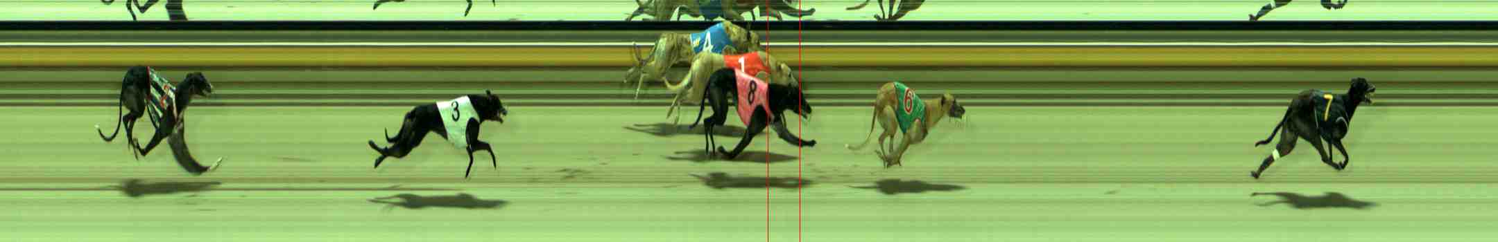 Photo finish for Sale Race 9