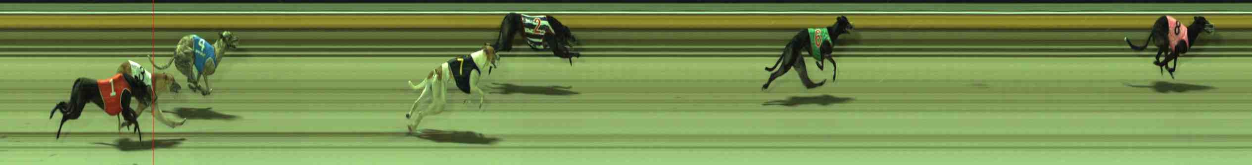 Photo finish for Sale Race 10
