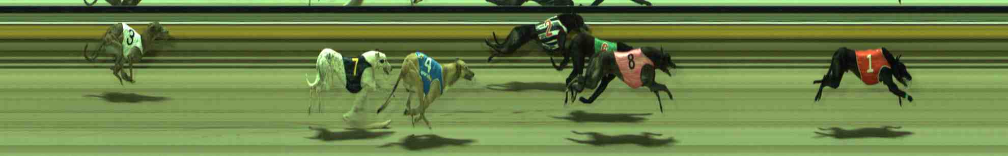 Photo finish for Sale Race 11