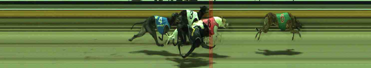 Photo finish for Sale Race 12